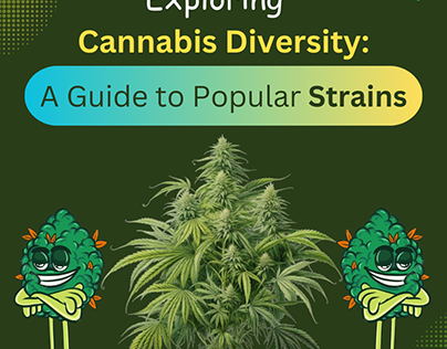 A Guide to Popular Cannabis Strains