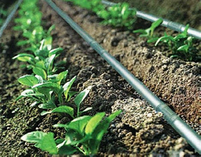 Understanding The Different Components Of a Drip Irriga