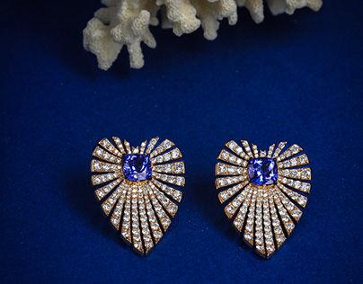 An elegant and stylish pair of Diamond earrings