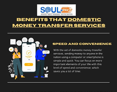 Domestic Money Transfer Services with SoulPay