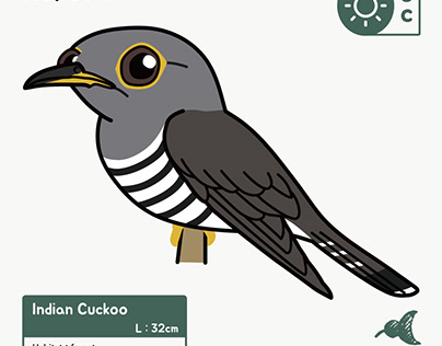 Cuckoo Bird Projects | Photos, videos, logos, illustrations and branding on  Behance