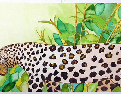book - jaguar