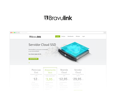 Webdesign - Bravulink