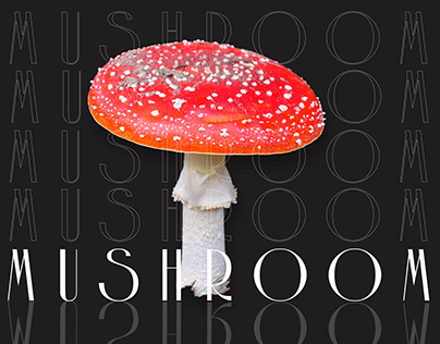 Illustration "Mushroom"