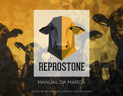 REPROSTONE