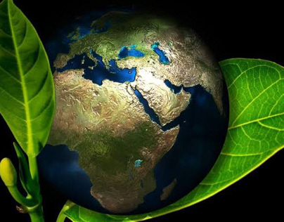 Sustentabilidade ambiental