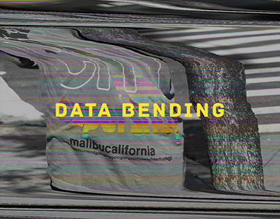 Data Bending & Generative Graphic