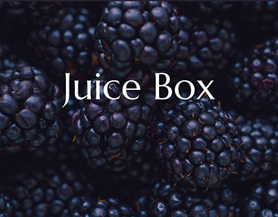 B2C Website design | JUICE BOX