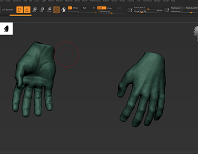 Hand Sculpting Practise on Zbrush