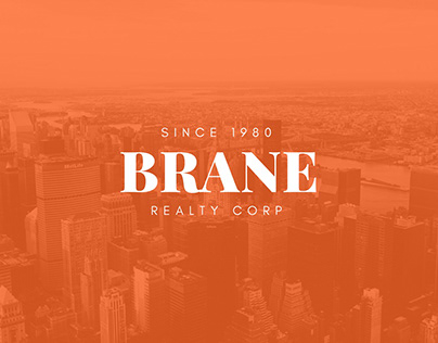 Presentation Design - Brane Corp