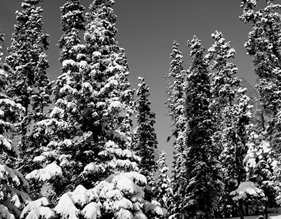 Alaska in Black and White