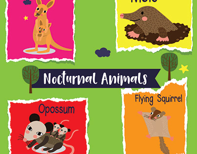 Nacturnal animals illustrator