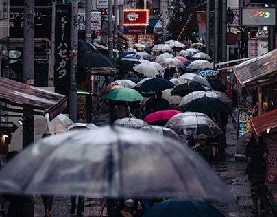 Umbrella