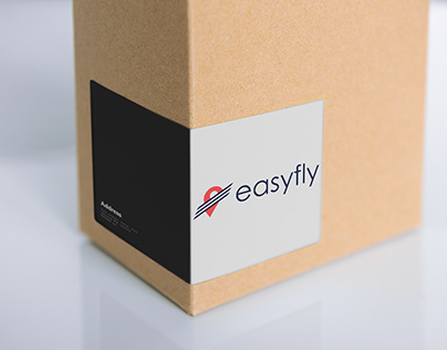 Easyfly Company Logo