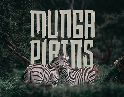 Munga Plains Holistic Safari Retreat Brand Identity