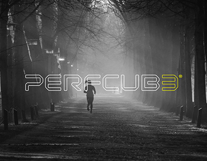 Perfcube - Branding