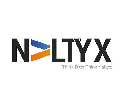 Logo and Branding Design - Naltyx