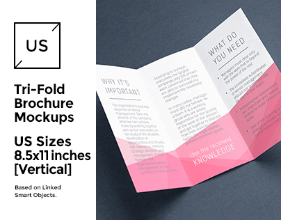 Tri-Fold Brochure / Flyer Mock-up's vol.2