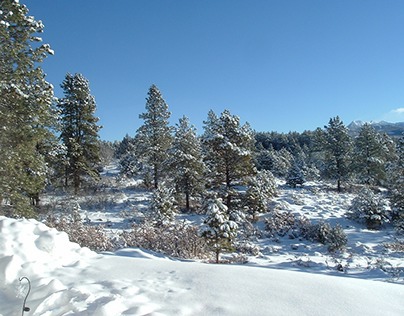 Winter Scenes - Mancos, Colorado