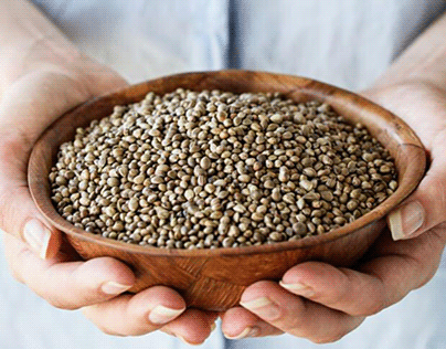 Hemp Seeds & Their Benefits