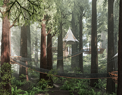 Redwood Forest O2 Treehouse