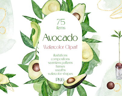 Watercolor Avocado Clipart PNG