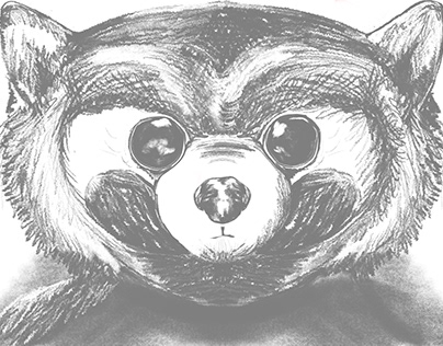 Red Panda Character Sketches