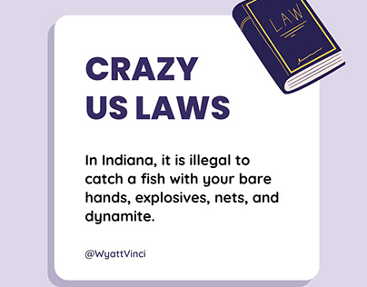 Weird US Laws #4 | Wyatt Vinci