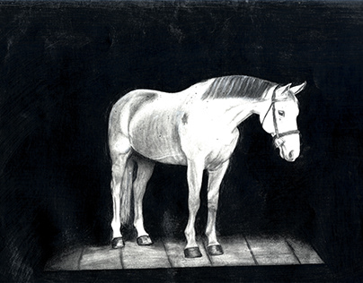 Project thumbnail - The Horse in the Dark
