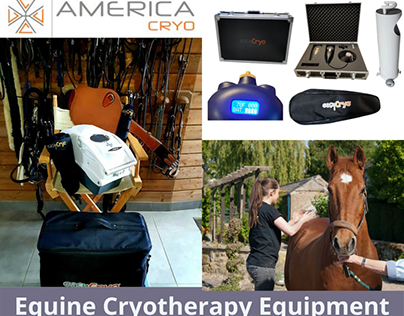 Equine Cryotherapy Equipment