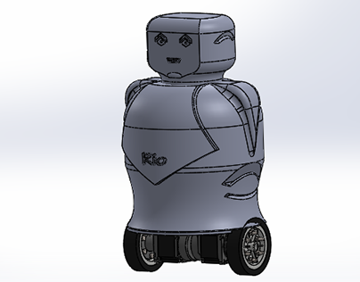 RiO - A Social Robot