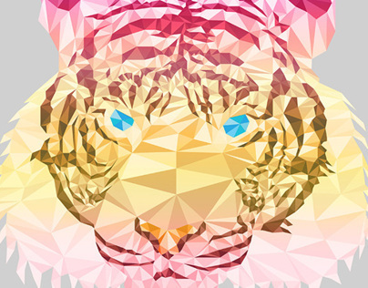 isogeometric - Tiger