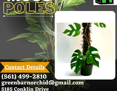 The Best Moss Poles For Sale - Green Barn Orchid
