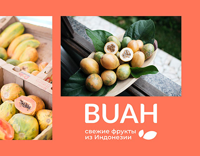 Logotype & Identity for fruit delivery Buah