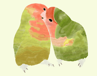 Parrot Illustration (Rosy-faced Lovebird)