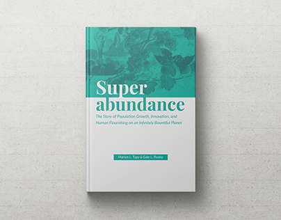 Superabundance Book Cover