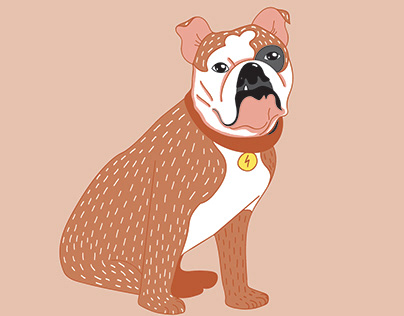 Illustration Bulldog