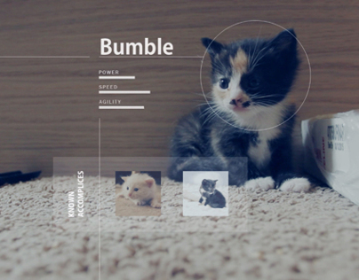 Meet Bumble