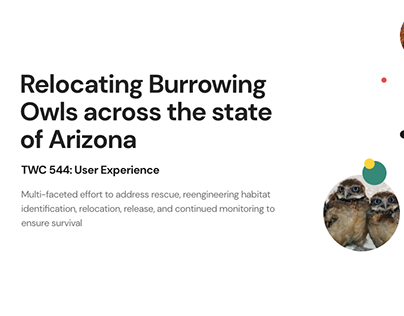 Burrowing Owls Website Redesign