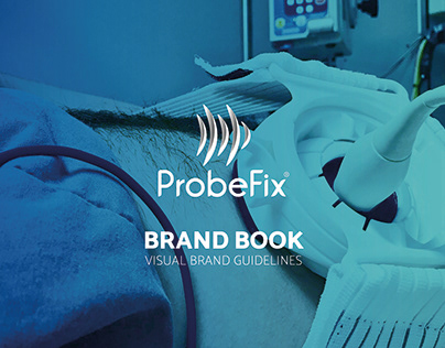 ProbeFix | Visual brand guidelines