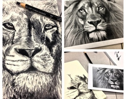 Lion sketch...