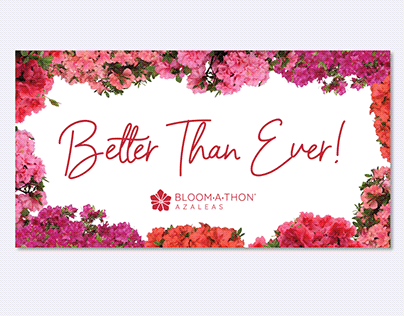Project thumbnail - Bloom-A-Thon® Azaleas - Better Than Ever! Campaign