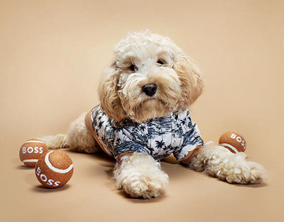 The Growing Industry of Pet Clothing