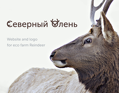Reindeer | Website and logo