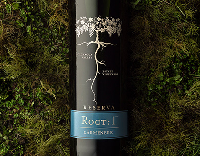 Deeply Chilean, Wildly Sustainable
