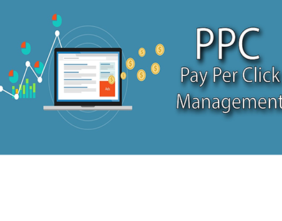 PPC Company In Delhi