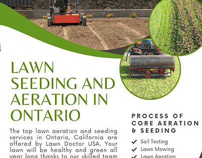 Lawn Seeding and Aeration In Ontario