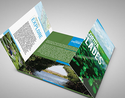 Digital Publishing: Brochure