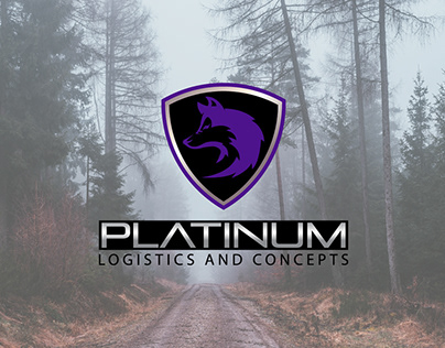 Platinum Logistics and Concepts (FiverrClient)