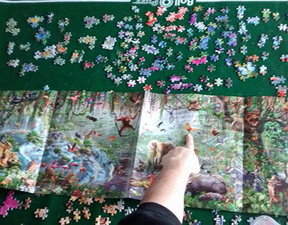 Solving 33,600 piece jigsaw puzzle